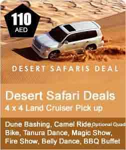 Own Car Desert Safari