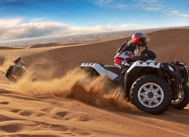 Desert Quad Bike